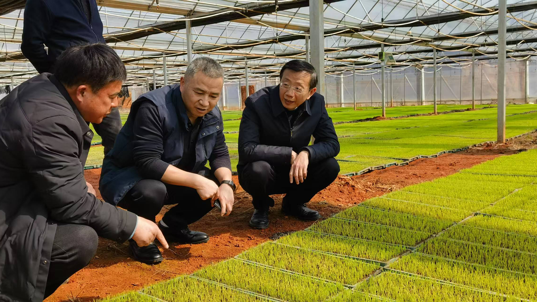 邹国杨带队督导省级储备粮出库并调研早稻育秧工作 (2).jpg