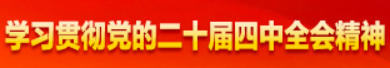 学习贯彻党的二十届四中全会精神